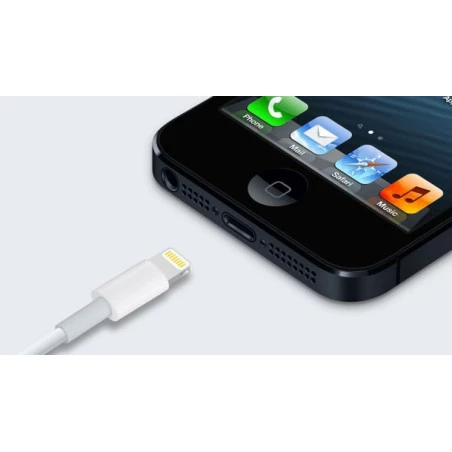 Original, 1-metre USB to Lightning cable for iPhone