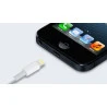 Original, 1-metre USB to Lightning cable for iPhone