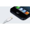 Original-USB-Lightning-Kabel, 1 m, für das iPhone