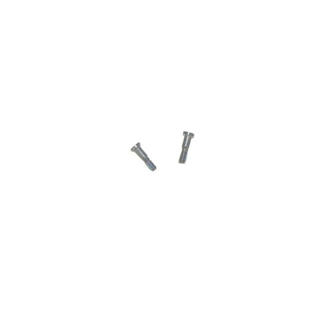 2 Vis Grise Torx Pentalobe Etoile iPhone 5