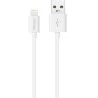 Cable USB vers Lightning Blanc iPhone 1m