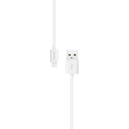 Cable USB vers Lightning Blanc iPhone 1m