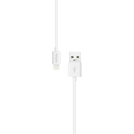 Cable USB vers Lightning Blanc iPhone 2m