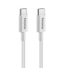 Câble USB-C vers USB-C 1m